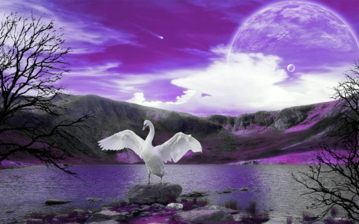 749838 (a): :1920x1200